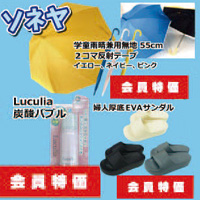 サンプル画像