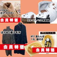 サンプル画像